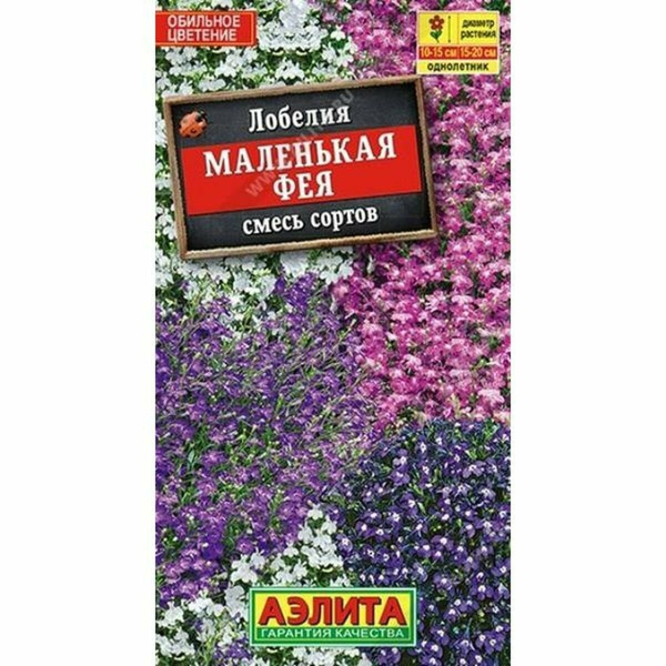 Лобелия Маленькая фея смесь окрасок