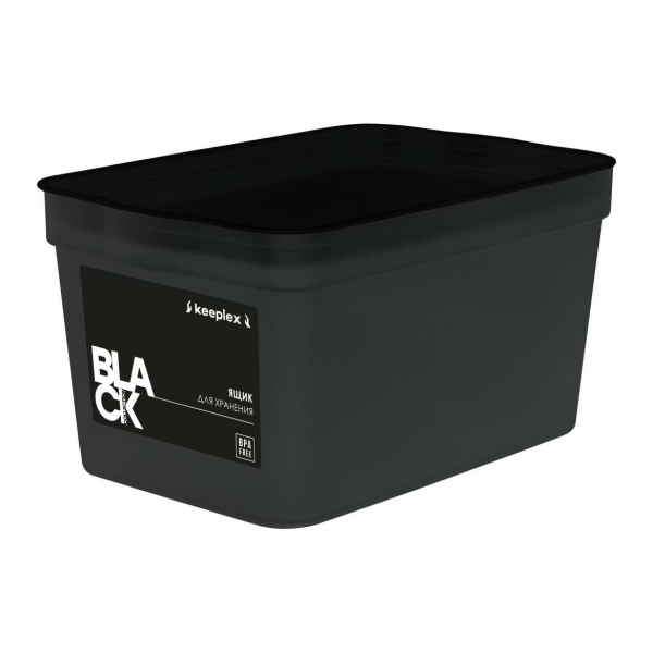 Ящик для хранения 2,3л 211*141*110мм Black Keeplex