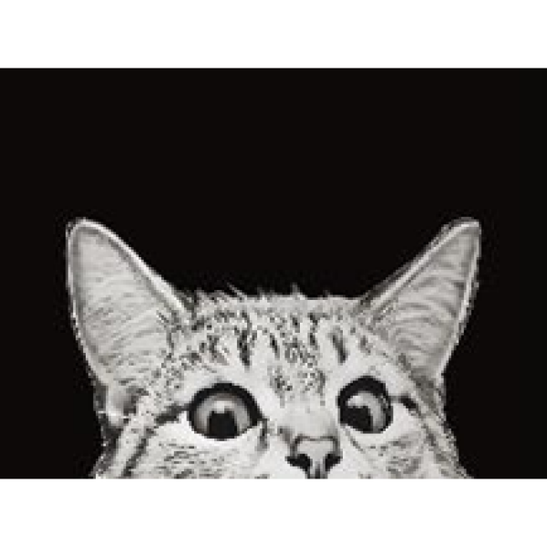 Коврик придверный LAPSHA 198 50x80см Dekorelle