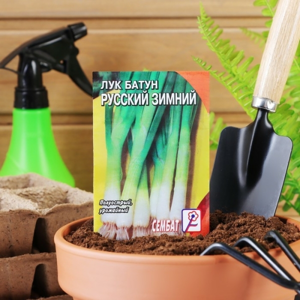 Лук батун Русский зимний 1гр Сембат
