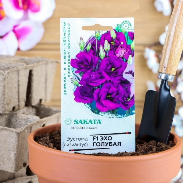 Эустома Эхо голубая 4шт Гавриш