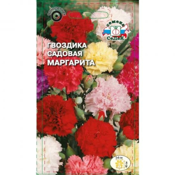 Гвоздика Маргарита садовая смесь цветов 0,1г ЦП СеДеК