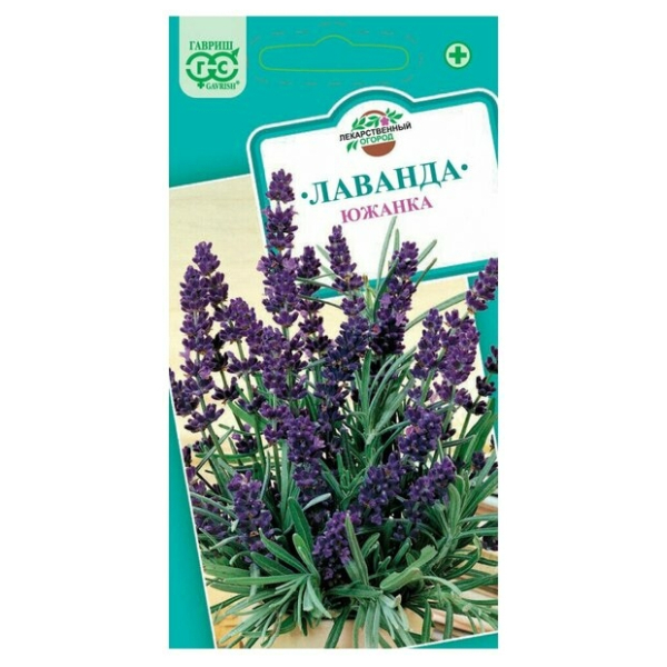 Лаванда Южанка Алтай